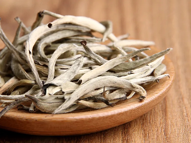 福鼎白茶、安吉白茶、云南月光白“三白”的區(qū)別