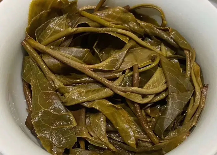 老班章和冰島誰更好喝，要怎么鑒別