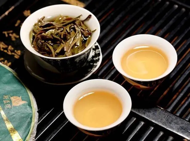 茶會(huì)“說(shuō)話(huà)”，讀懂云南古樹(shù)普洱茶的秘訣