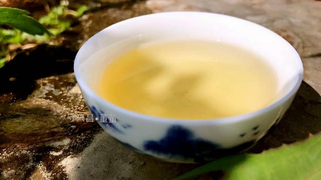 普洱茶有31種香味,你能聞出幾種來(lái)?
