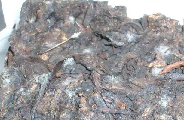 ?普洱茶發(fā)霉了怎么辦？教你妙招應(yīng)對發(fā)霉的普洱茶！