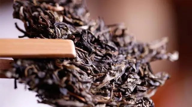 普洱生茶好還是普洱熟茶好喝？如何挑選適合自己的普洱茶？