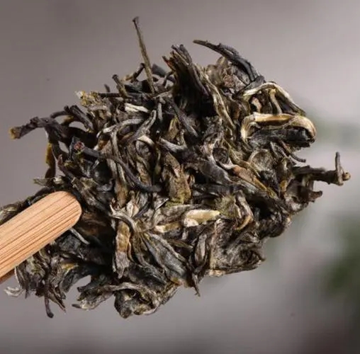 茶無貴賤！這些不知名的山頭，其實也產(chǎn)優(yōu)質(zhì)普洱茶！