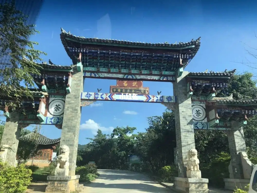 古樹茶年份越老，茶葉就越好嗎？影響茶葉品質(zhì)的因素有哪些？