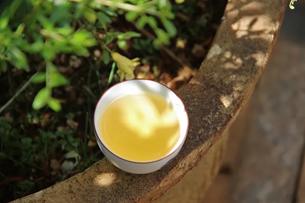 普洱茶越苦澀就代表品質(zhì)越好嗎？