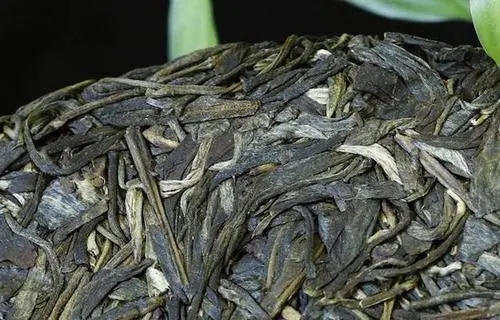 喝普洱茶，一定要喝老茶嗎？