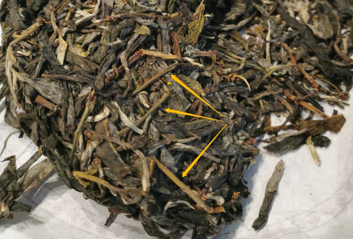 普洱茶的葉底有茶梗,就是茶不好嗎?