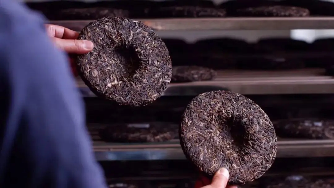 喝茶人都關(guān)心的普洱熟茶4大超核心問題！