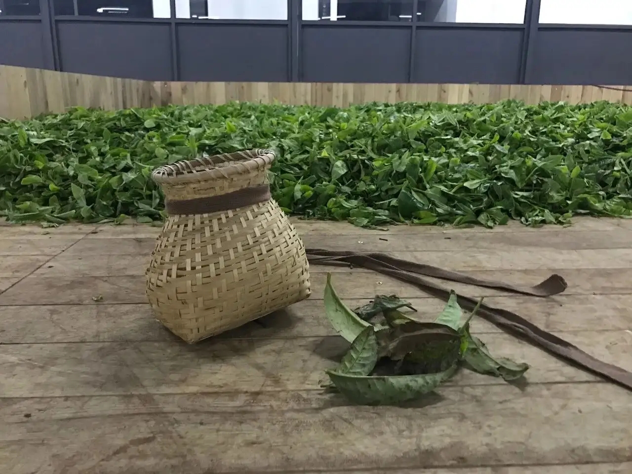 普洱茶，如果不談山頭，我們談什么？