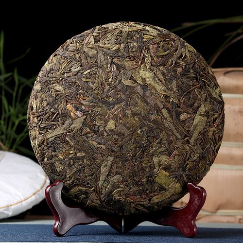 普洱茶的黃金葉到底是什么樣的存在？