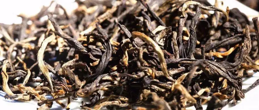 什么是茶氣？茶氣強(qiáng)勁又是一種怎樣的體驗(yàn)？