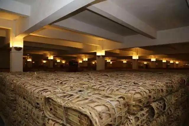 云南古樹普洱茶好在哪？相比小樹茶、臺(tái)地茶有何不同？