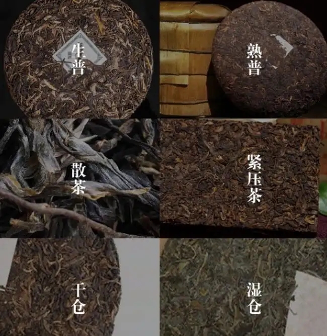 普洱茶不是越陳越香嗎？怎么也有最佳品飲期？
