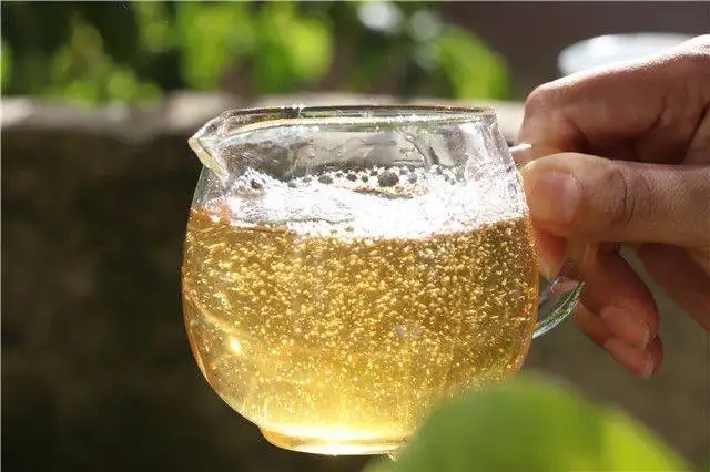 茶顏觀色”，看普洱茶條索里都蘊含著怎樣的“密碼”？