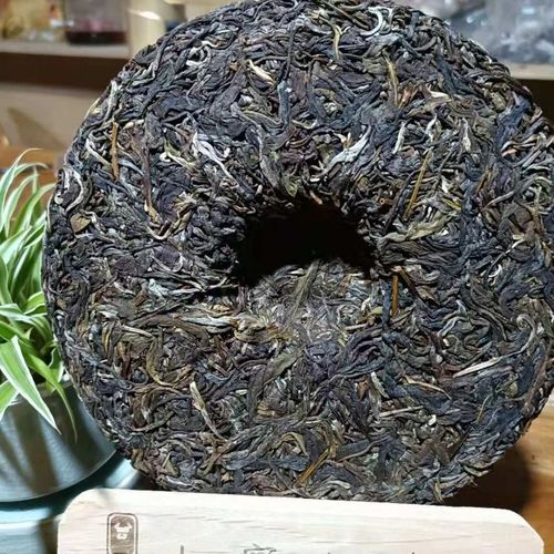 勐庫茶到底是個啥味道？