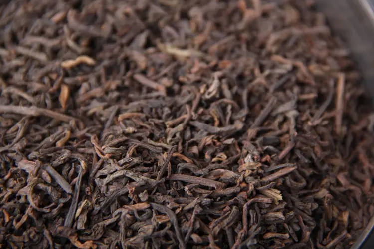 品懂熟茶丨新制的熟茶怎么品評(píng)？