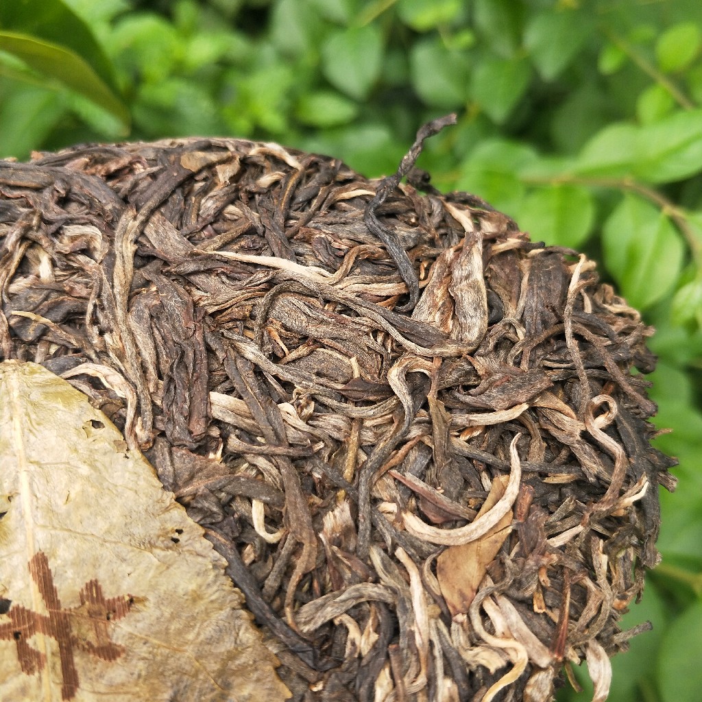 2023年班盆古樹春茶多少錢一公斤？