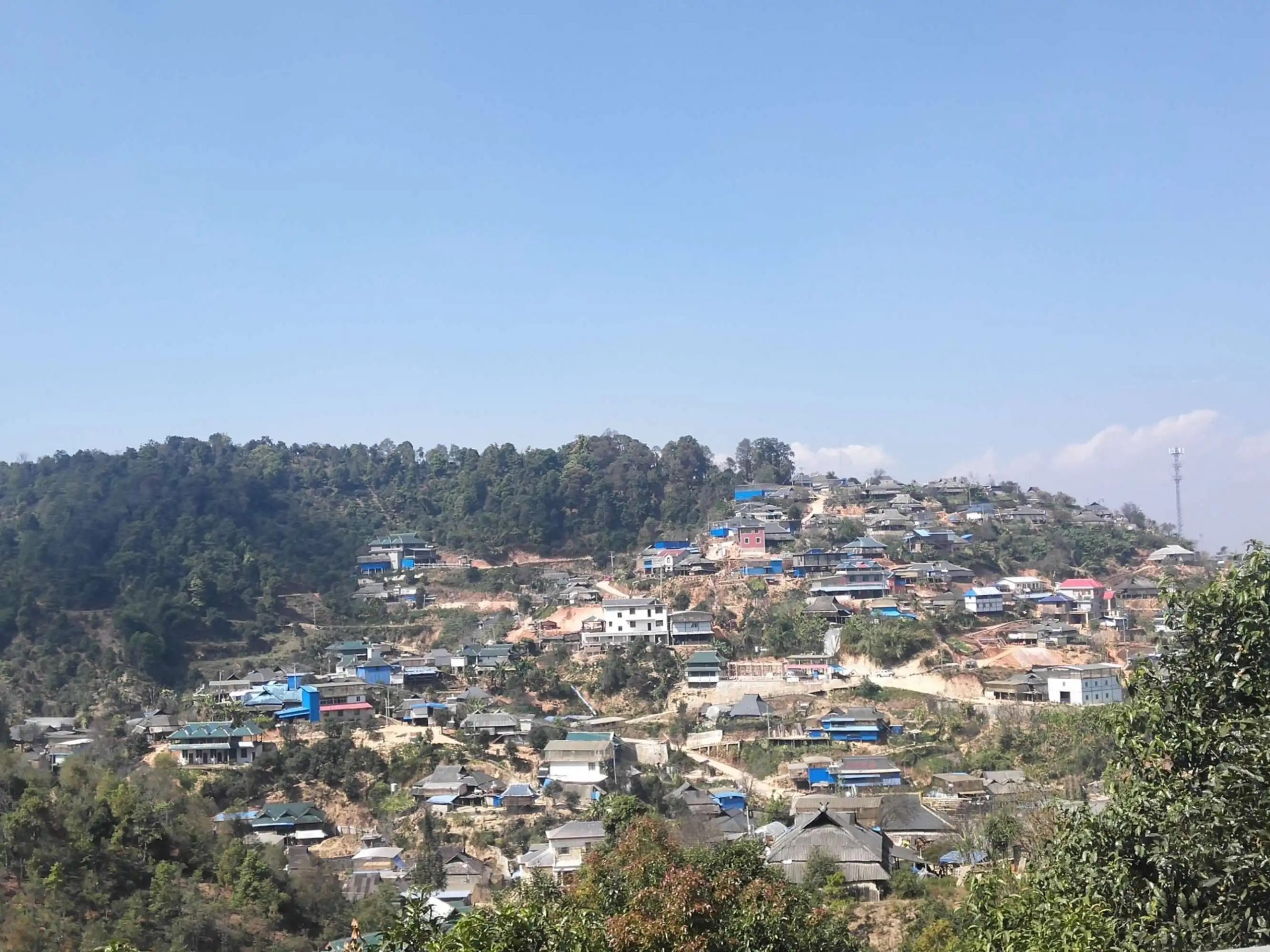 2023年帕沙古樹春茶品質(zhì)如何？