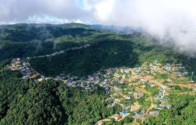 2023年帕沙古樹春茶口感怎么樣？