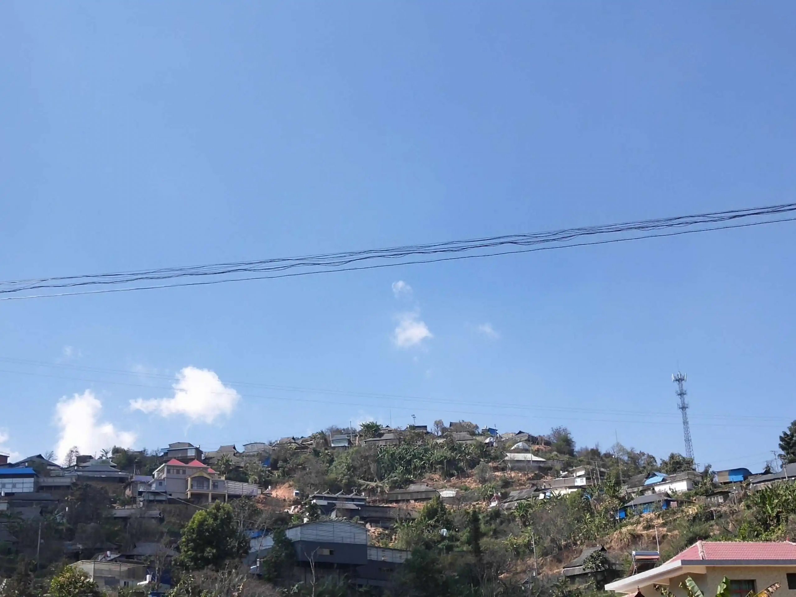 2023帕沙古樹春茶特點(diǎn)是什么？