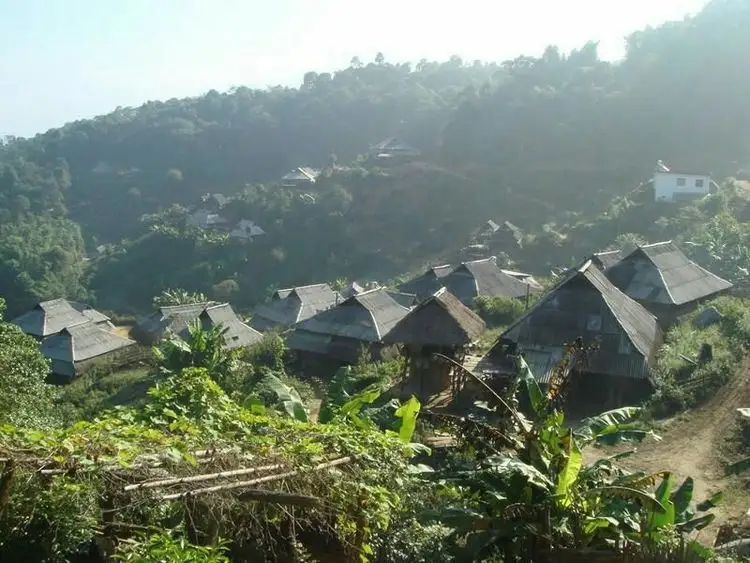 2023年帕沙古樹春茶多少一公斤？