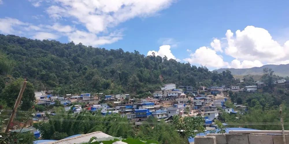 2023年那卡古樹春茶品質(zhì)如何？