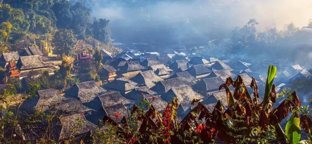 2023年景邁古樹春茶品質如何？