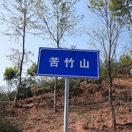 2023年苦竹山古樹春茶品質(zhì)如何？