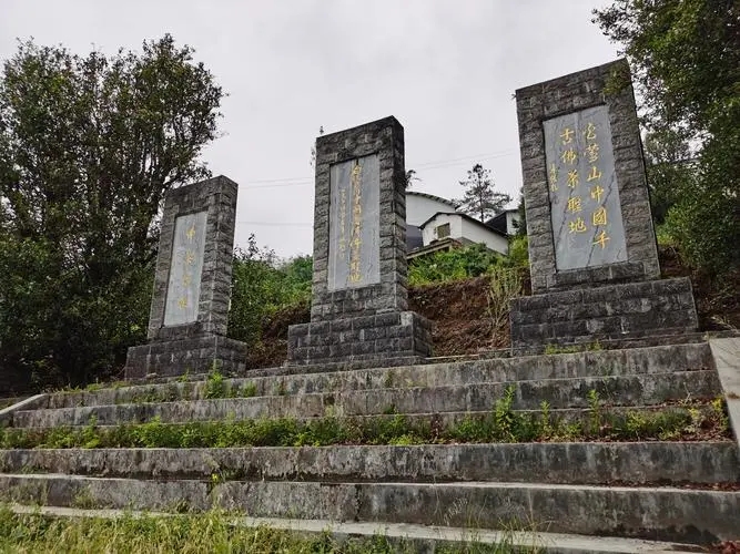 2023年白鶯山古樹(shù)春茶品質(zhì)如何？