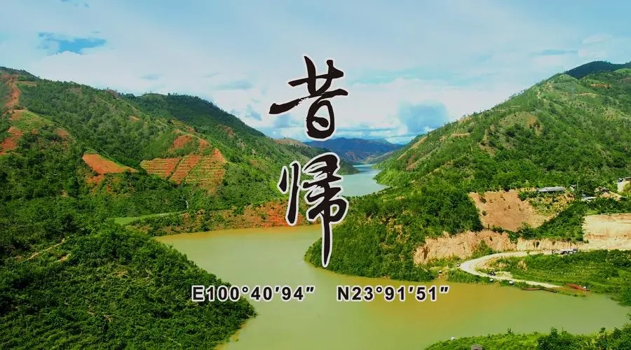 2023年昔歸古樹春茶品質(zhì)如何？