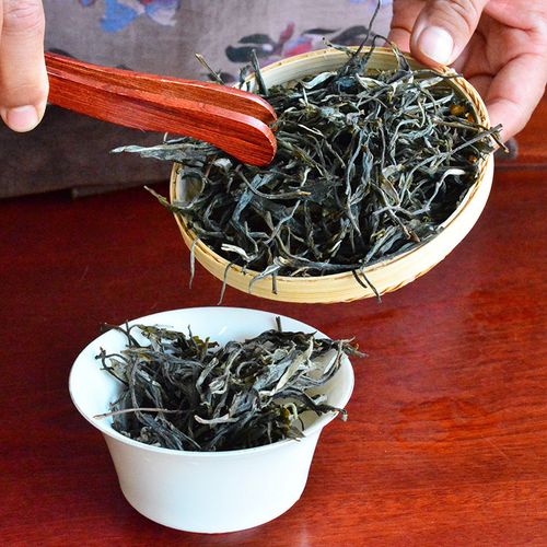 2023年地界古樹(shù)春茶口感是什么？