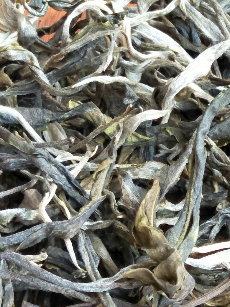 2023年壩歪古樹(shù)春茶價(jià)格是多少？