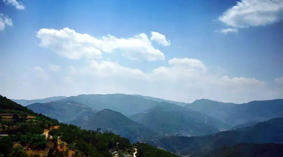 2023年勐庫大忠山古樹春茶價(jià)格是多少？