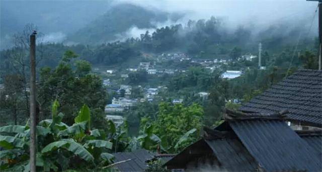 2023年勐庫(kù)豆腐寨古樹(shù)春茶口感怎么樣？