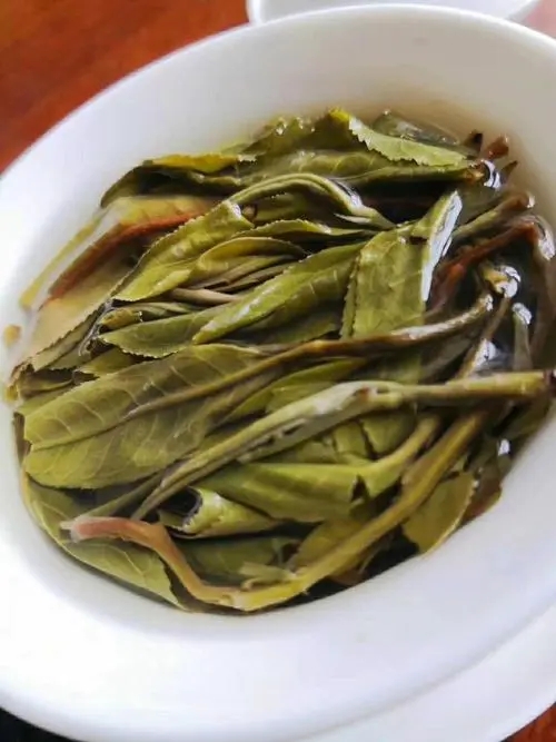 2023年鍋底塘古樹春茶特點是什么？