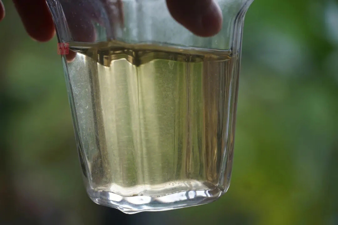 2023年多依樹古樹春茶價格是多少？