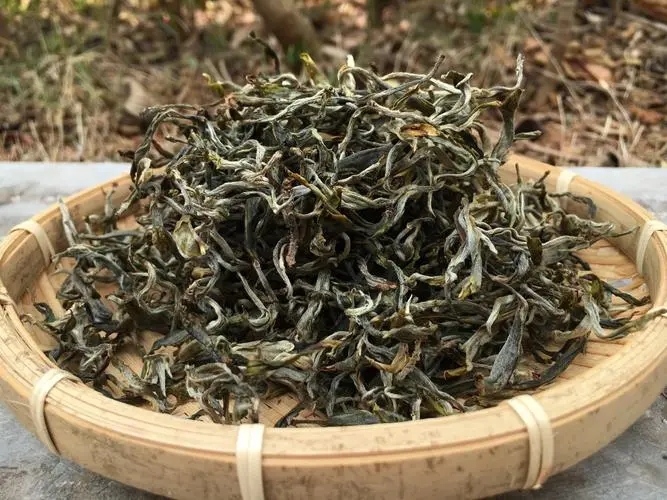 2023年易武張家灣古樹春茶品質(zhì)如何？