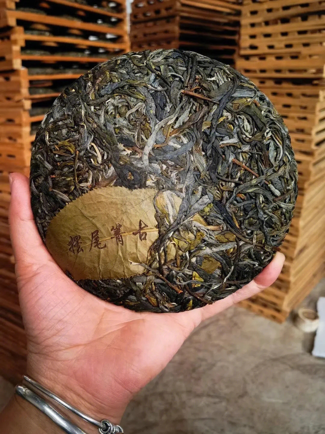 2023年寧洱擺尾箐古樹春茶品質(zhì)怎么樣？