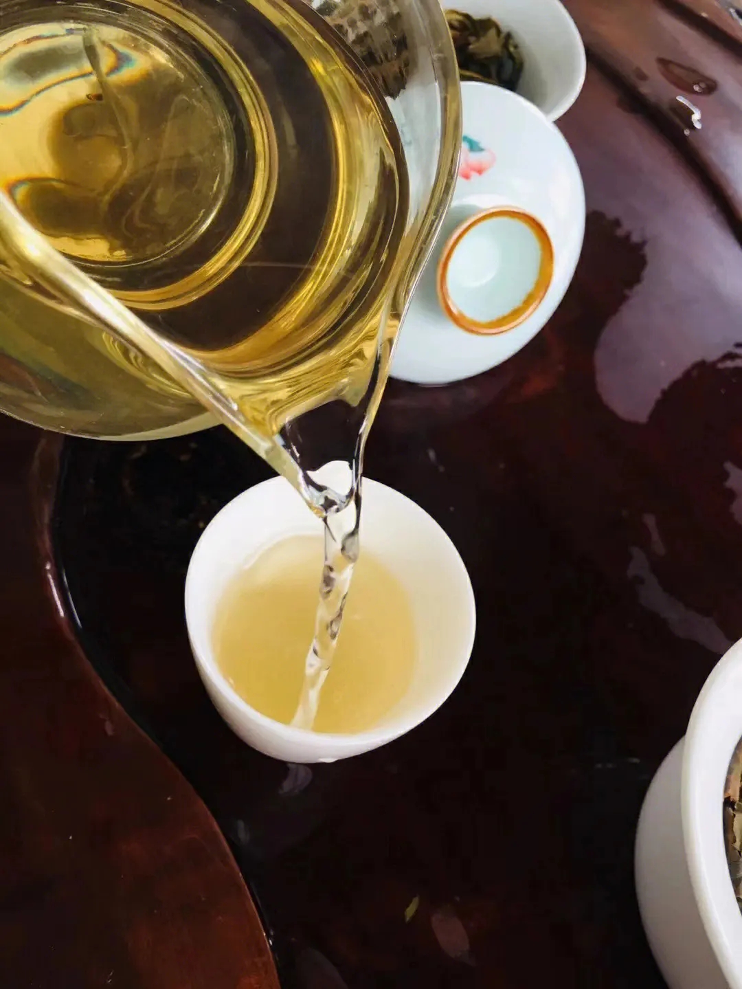 2023年鎮(zhèn)沅老海塘古樹春茶價(jià)格是多少？