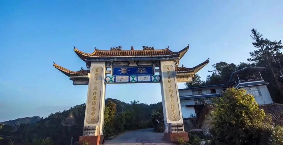 2024年墨江鳳凰窩古樹春茶特點是什么？