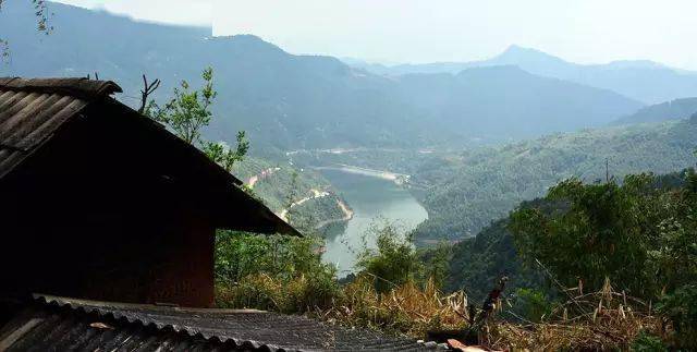 2024年磨烈古樹春茶價格多少？